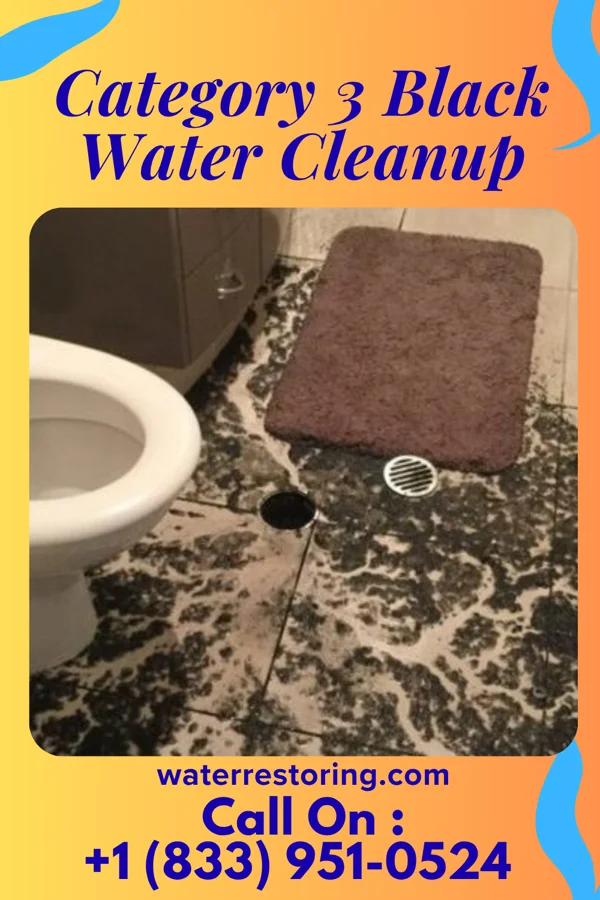 Category 3 Black Water Cleanup in Mellott, IN