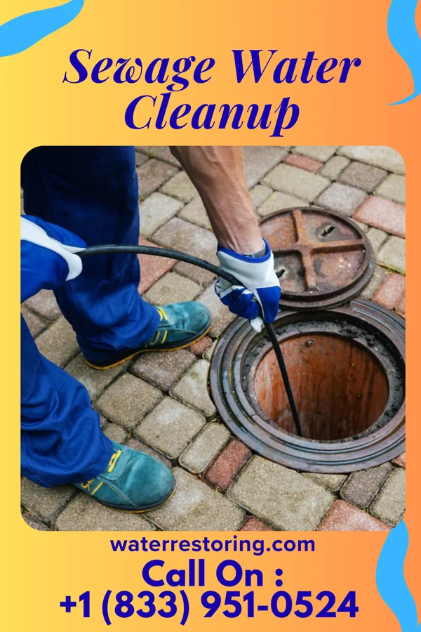 Sewage Water Cleanup in Mellott, IN