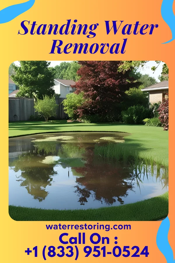 Standing Water Removal in Mellott, IN